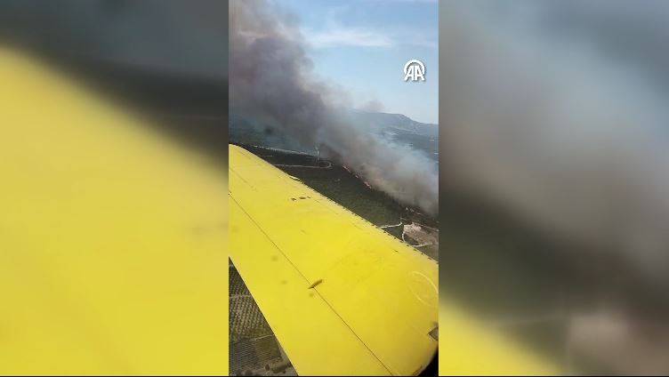 Urla'da orman yangını! Havadan ve karadan yoğun müdahale sürüyor 14